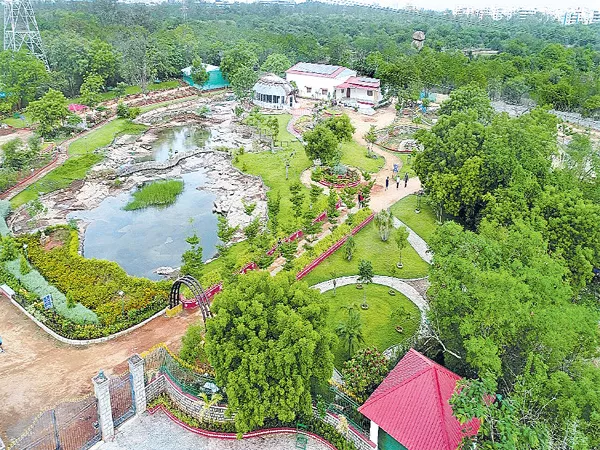 Forest Park in Concrete Jungle - Sakshi