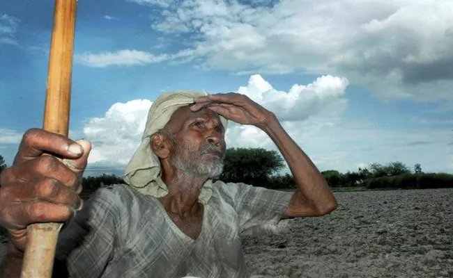 Low Rainfall In Nellore District - Sakshi