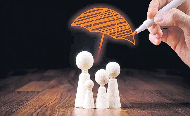 Article On Life Insurance Term Plan - Sakshi