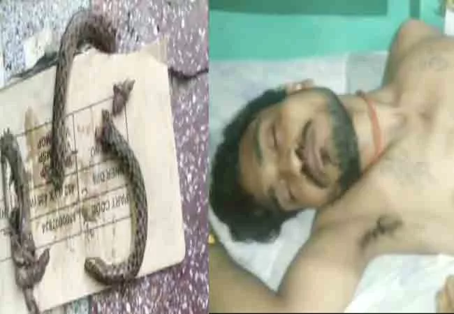 UP Drunk Man Bites Snake After It Bit Him - Sakshi