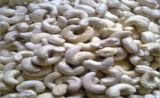 Mediators Involved In Cashew Traders In Srikakulam - Sakshi