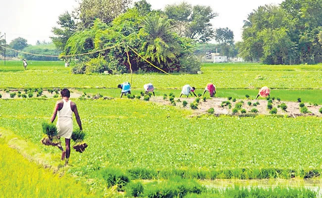 How Much Budget Allocated To Agriculture - Sakshi