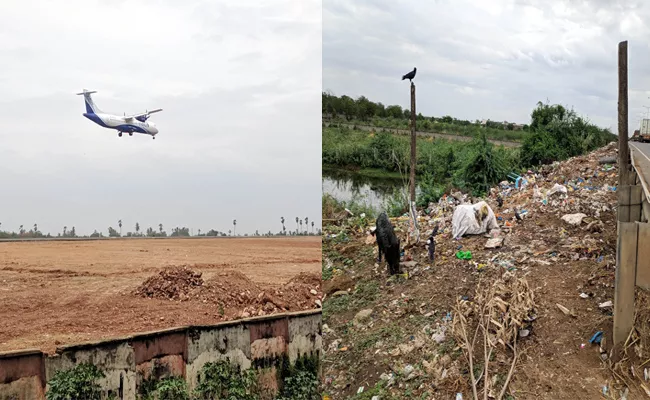 Birds Causing Problems To Flight Services In Gannavaram Airport - Sakshi