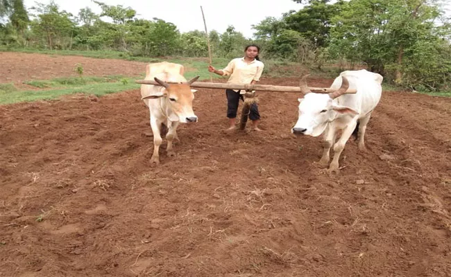 Girl Will Get Into Agriculture Field When There Was A Holiday For School In Aswaraopeta, Khammam - Sakshi