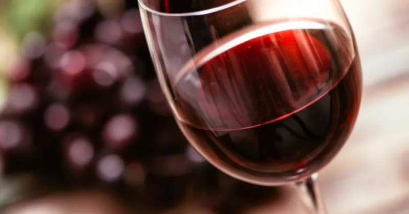 Red wine Compound Opens Door For New Depression And Anxiety Treatment - Sakshi