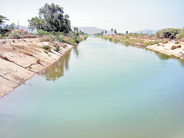 Tearful Farming In the Tungabhadra rectory - Sakshi