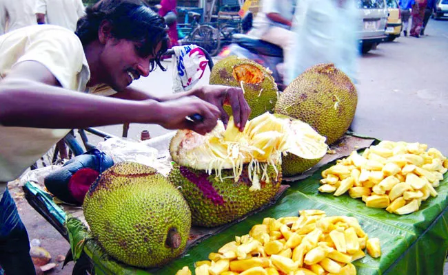 Special Article On Jack Fruit Day In Sakshi