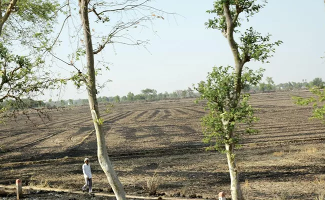 Andhra Pradesh Farmers Face Problem With Prohibition List Lands - Sakshi