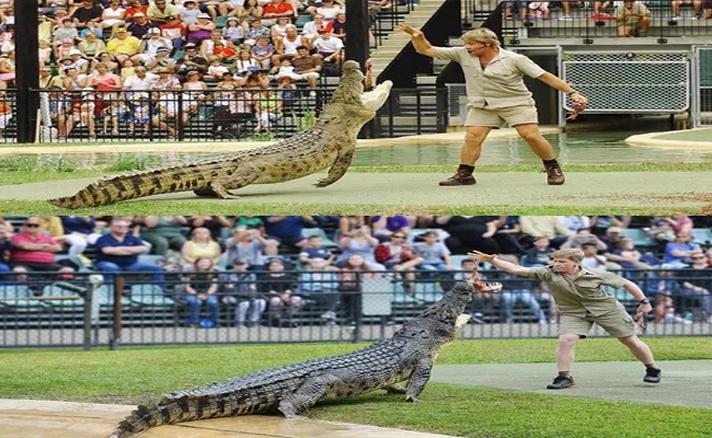 Steve Irwin's Son Shared A Photo With Crocodile - Sakshi