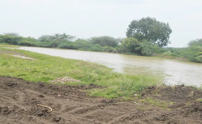 Occupying Field In Prakasam - Sakshi