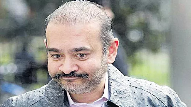 Debt Recovery Tribunal asks Nirav Modi to pay Rs 7,200 cr to PNB - Sakshi