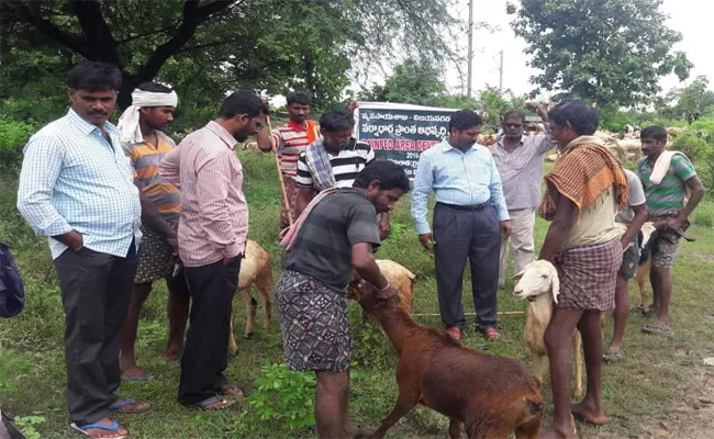 TDP Government Ignored To The Farmers In Vizianagaram - Sakshi