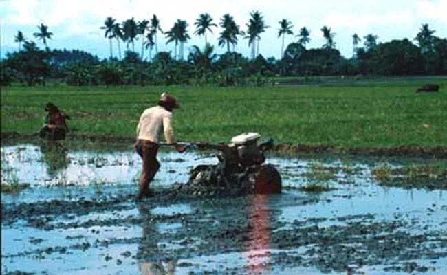 Farmers Use Power Tiller in Paddy Cultivation - Sakshi