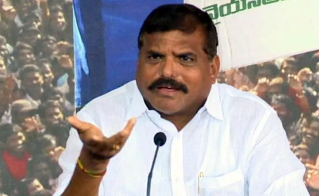 AP Minister Botsa Satyanarayana Fires On TDP Leaders - Sakshi