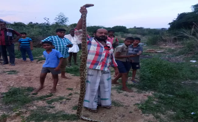 Big Python Found At Narayanavanam, Chittoor  - Sakshi