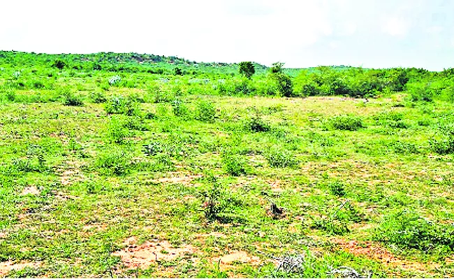 Formers Lands Are Occupied In PSR Nellore District - Sakshi