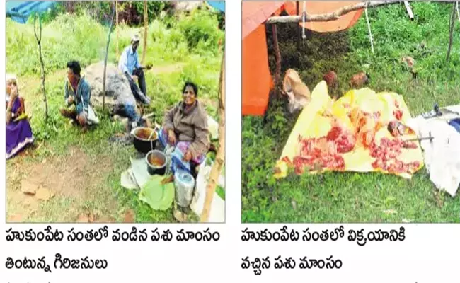  Tribes that don't care Anthrax Disease - Sakshi