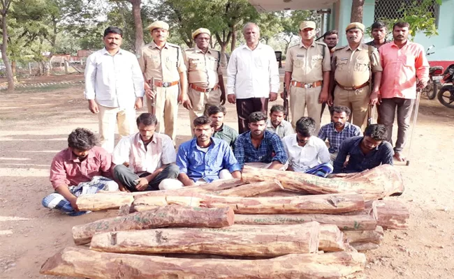 Police Possession Redwood In Kadapa - Sakshi