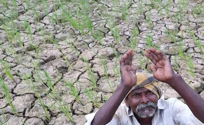 Deficit Rainfall in Mahabubnagar District - Sakshi