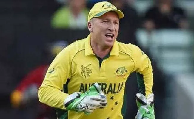 Sunrisers Hyderabad Appoints Brad Haddin As Assistant Coach - Sakshi