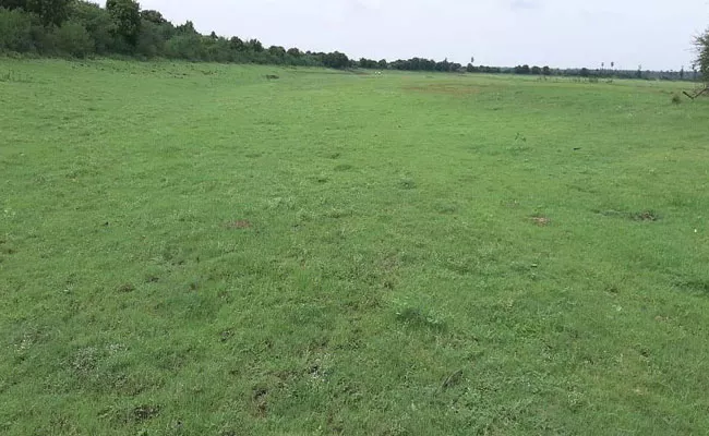 Water Dried In Kannasamudram Pond In West Godavari - Sakshi