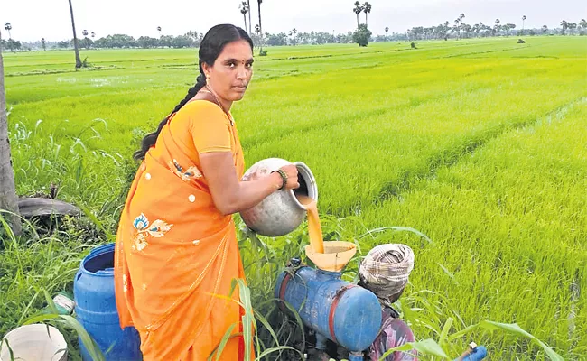 Organic Food good For Health - Sakshi