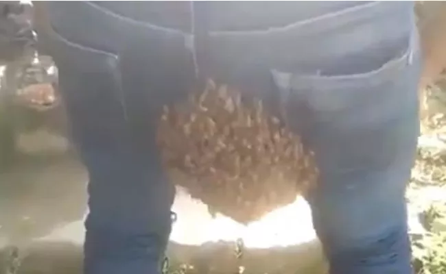 Kiren Rijiju Share Bizarre Video Beehive In The Most Inappropriate Place - Sakshi