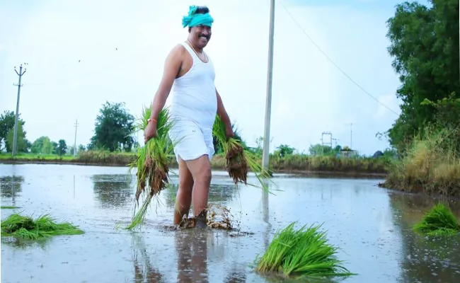 Choppadandi MLA Sunke Ravi Shankar Working In  Farm - Sakshi