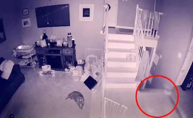 Ghost Captured In A Home CCTV Camera Of A Long Island Man - Sakshi