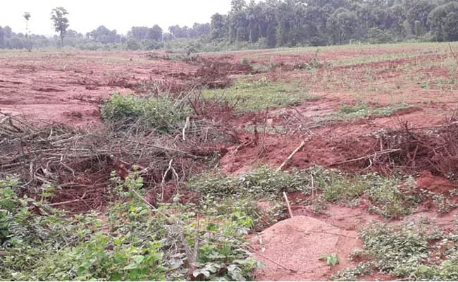 TDP Leader Occupied Government Lands In Vizianagaram District - Sakshi