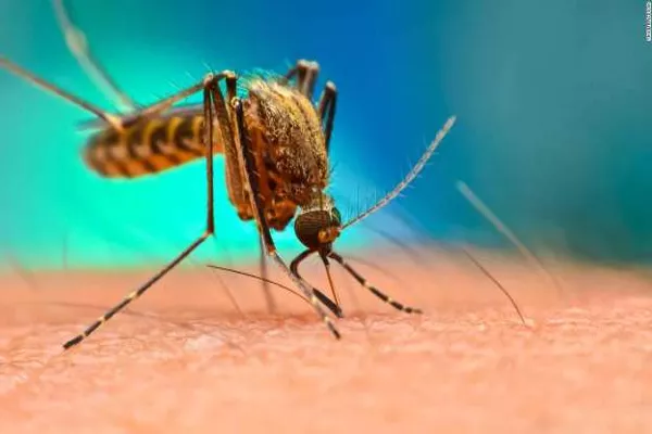 Thousands of people suffer from dengue fever in the state - Sakshi