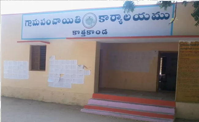 Grama Panchayat Ruling Is Transparent In Warangal - Sakshi