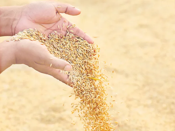 Country foodgrain production is above 28 crore tonnes - Sakshi