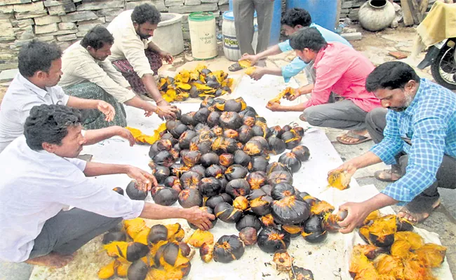 Organic Agriculture With Palm fruit - Sakshi