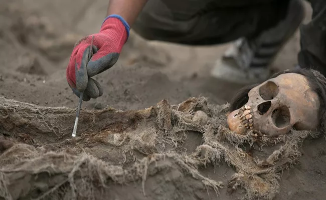 227 Sacrificed Children Skeletons Found In Peru - Sakshi