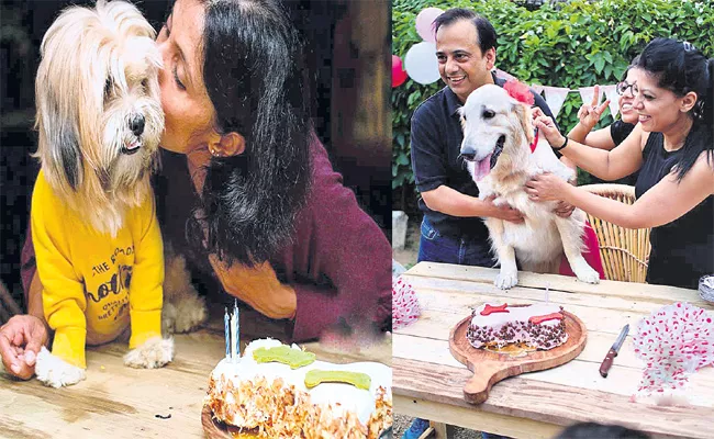 Pet Lovers Celebrate Dogs Birthdays in Hyderabad - Sakshi