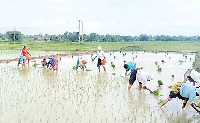 Farmers Busy With Crops For Rains In Medak - Sakshi