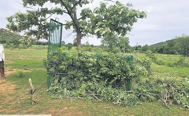 To Save Animals From Leopard Attacks In Yacharam A Cage Set Up To Trap It - Sakshi