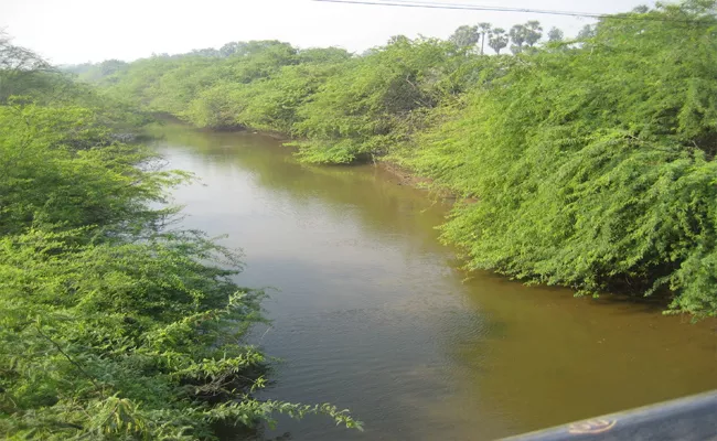 Buckingham Canal was invaded In Prakasam - Sakshi