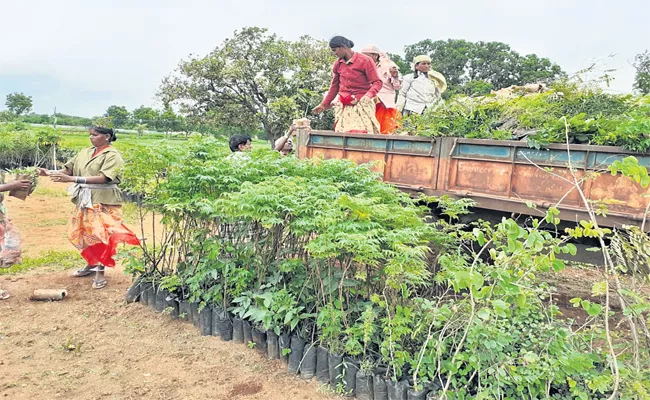 Harita Haram To Be Launched Today In Ibrahimpatnam - Sakshi