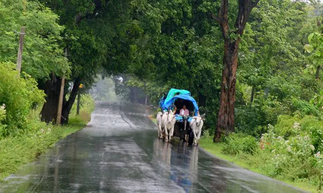 Today Weather Forecast For Andhra Pradesh - Sakshi