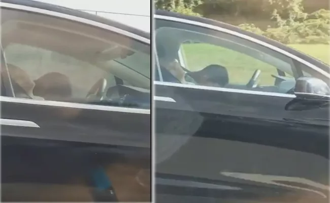 Viral Video Tesla Driver Asleep In Moving Car In Newton - Sakshi