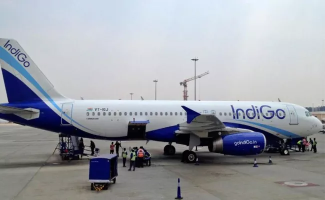 IndiGo forgets luggage of entire Delhi to Istanbul flight, Internet explodes - Sakshi