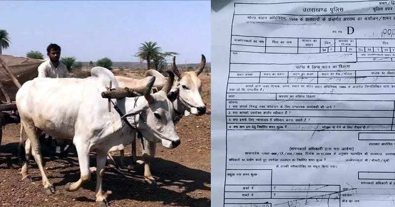 Bullock cart owner fined Rs 1000 under new motor vechile act - Sakshi