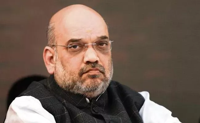 Amit Shah Never Asked for Imposing Hindi Over Regional Languages - Sakshi