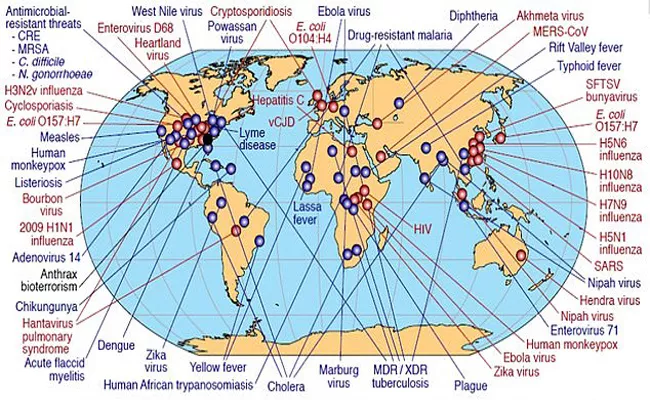 A world Risk Virus: flu-like illness could kill 80 million people across the world - Sakshi