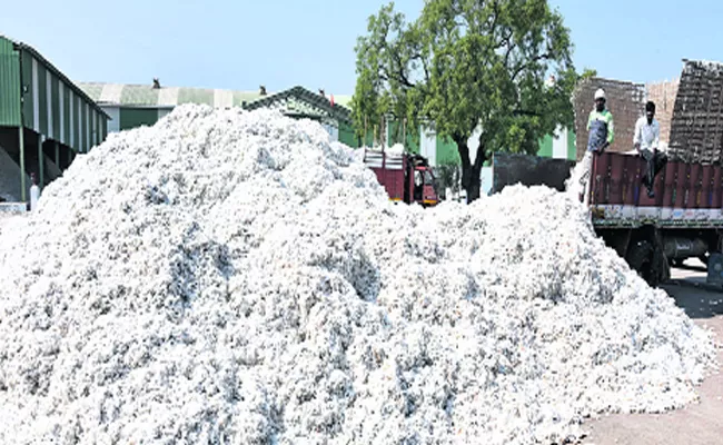 Cotton Production Increased In Adilabad District - Sakshi