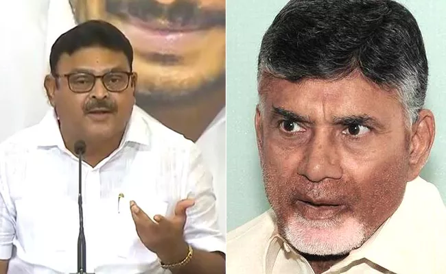 YSRCP MLA Ambati Rambabu Fires on TDP Chief Chandrababu Naidu - Sakshi