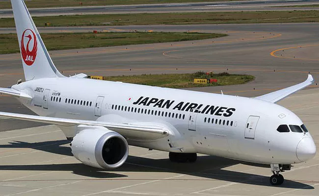 Japan Airlines Launches New Feature Which Helps Babies - Sakshi