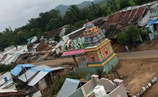 Vinayaka Chaturthi Ban In Lachiraju Peta Vizianagaram District - Sakshi